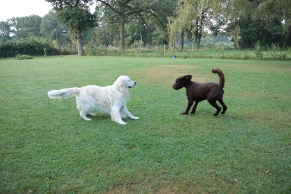 pip92