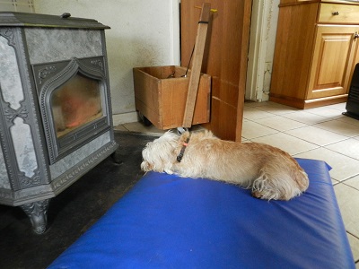 pippa11
