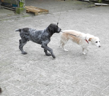 pita80