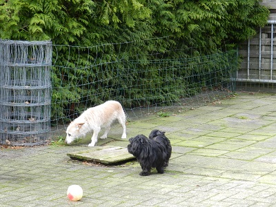 pita90