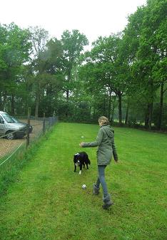 renie2015-22
