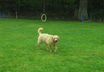 renie2015-23
