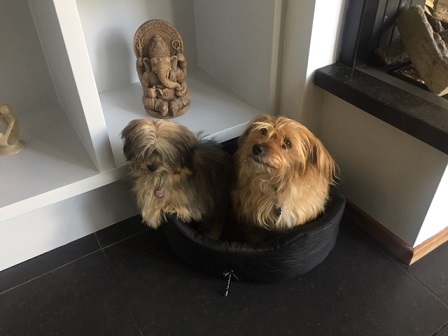 rubia39