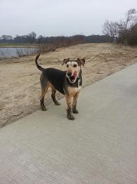 sandy22