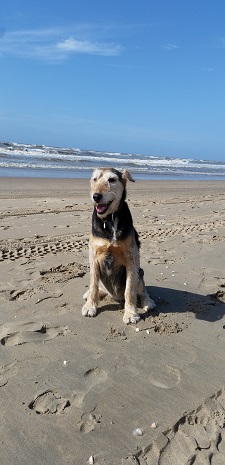 sandy24