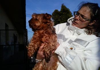 sofi