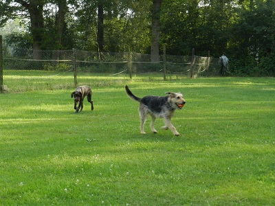 suni1 2