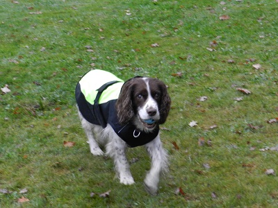 TT66